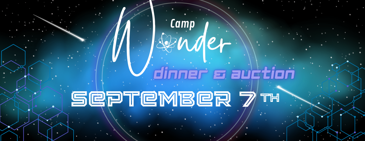 Camp Wonder Auction 2024